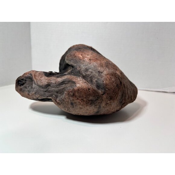 Unique heart-shaped driftwood Northern California Aquarium Decor - Picture 2 of 4